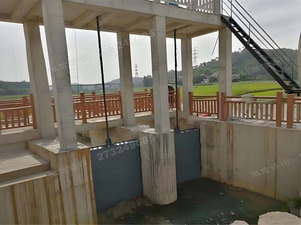 农田渠道泵站闸门