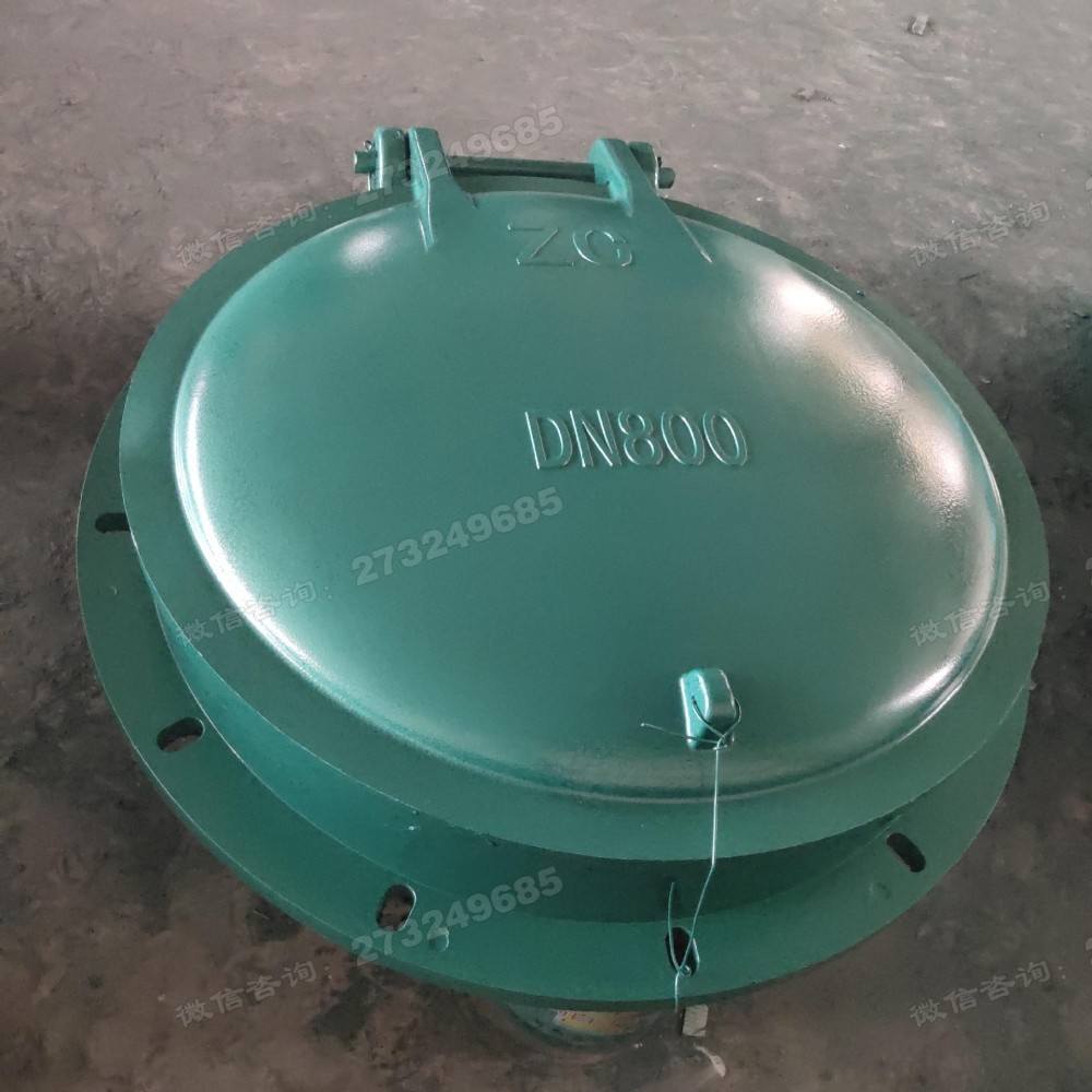 庐阳DN800绿色玻璃钢拍门