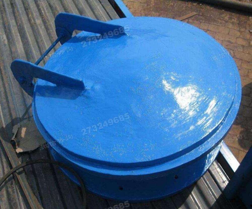 温州蓝色单开拍门
