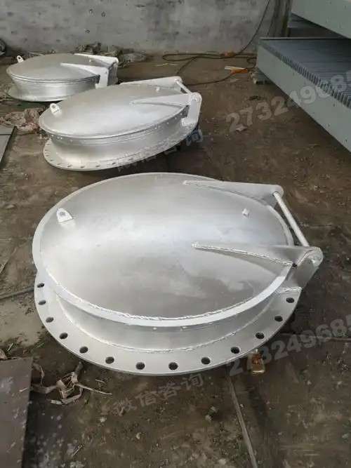 新宾县大口径不锈钢拍门
