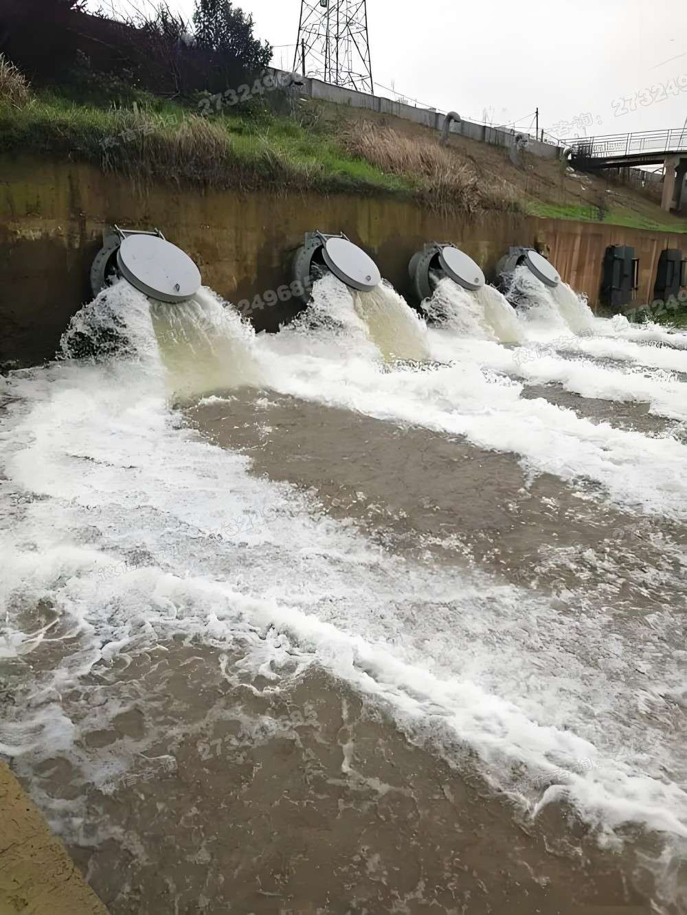 咸宁河岸排水钢制拍门