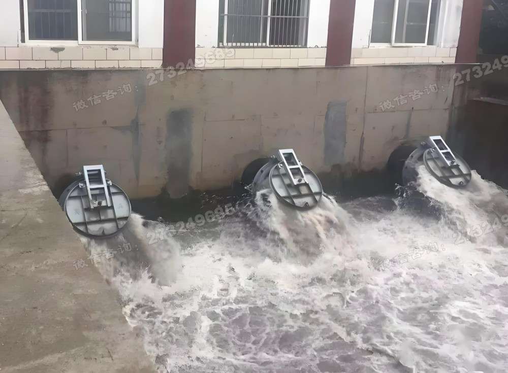 汨罗三联排水拍门