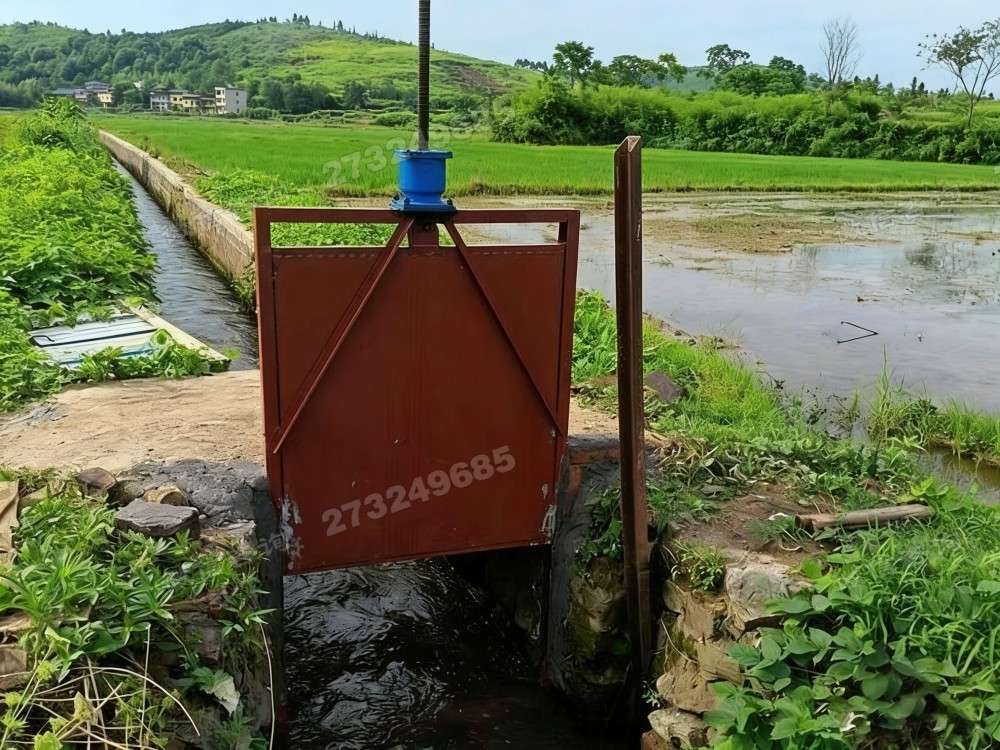 水稻田铸铁闸门