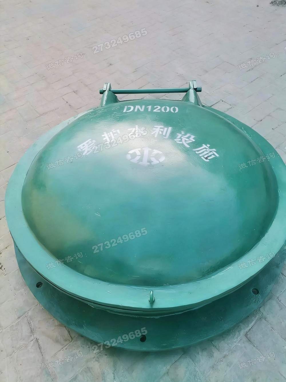 临西DN1200铸铁拍门