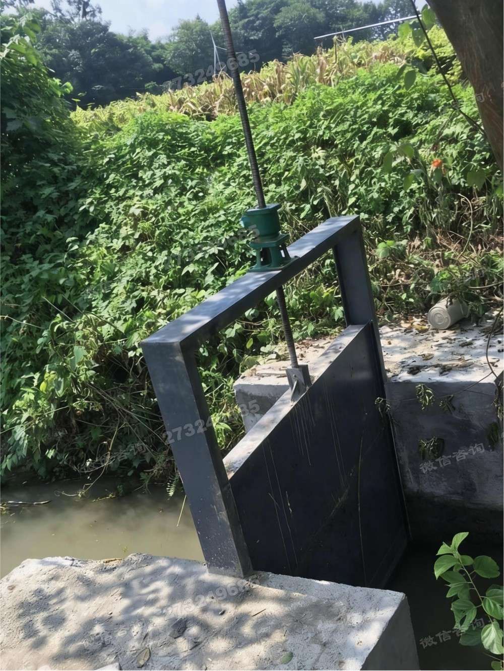 临安农田黑色钢制闸门