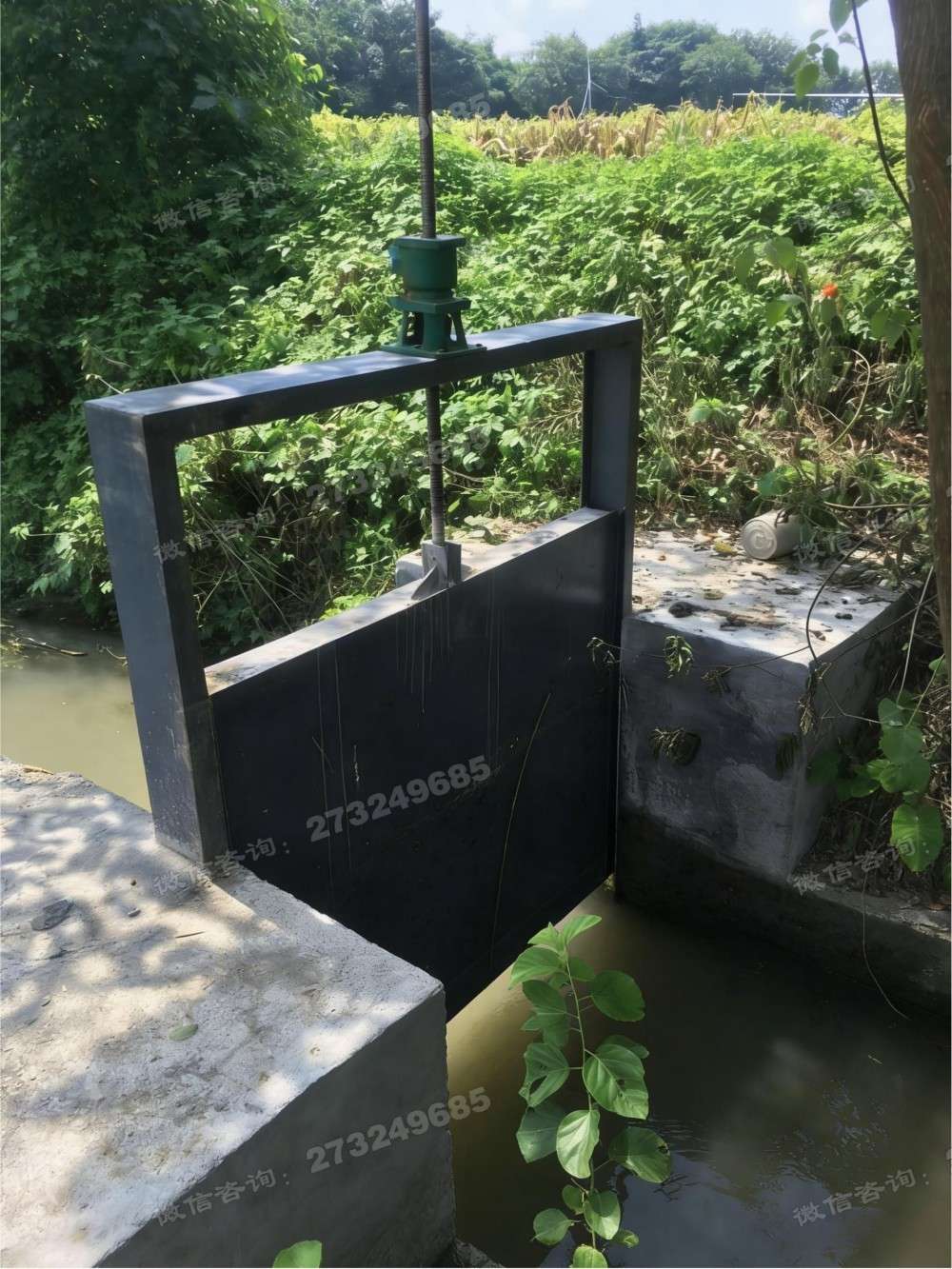 菜园灌溉钢制闸门