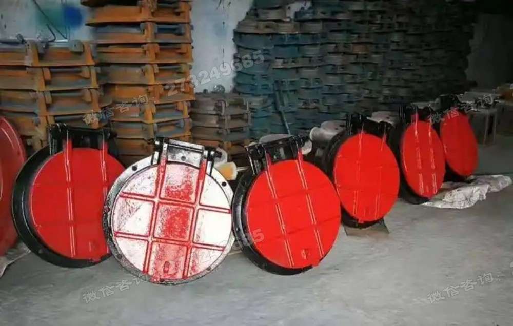 仙桃批量供应铸铁拍门